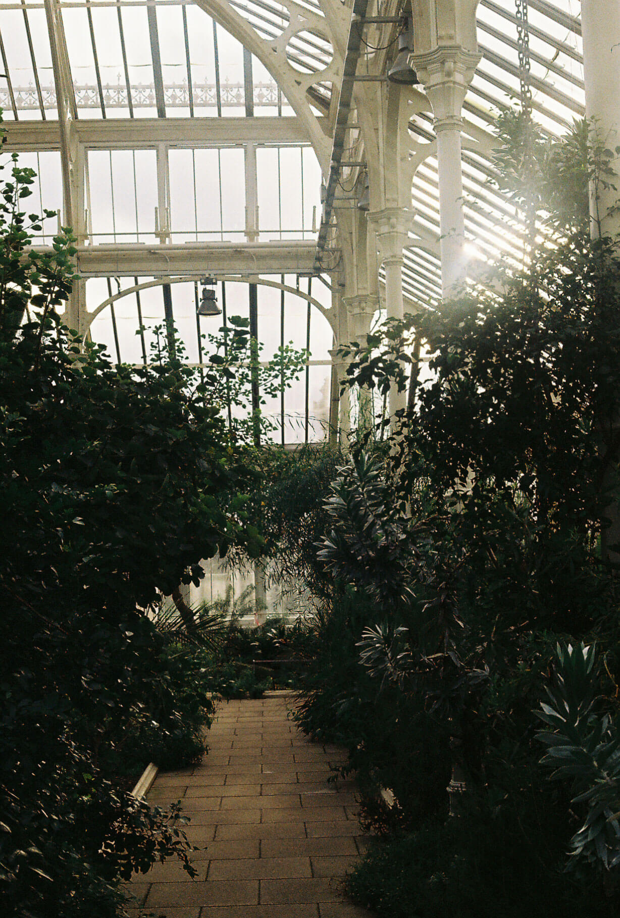 kewgardens_photo1