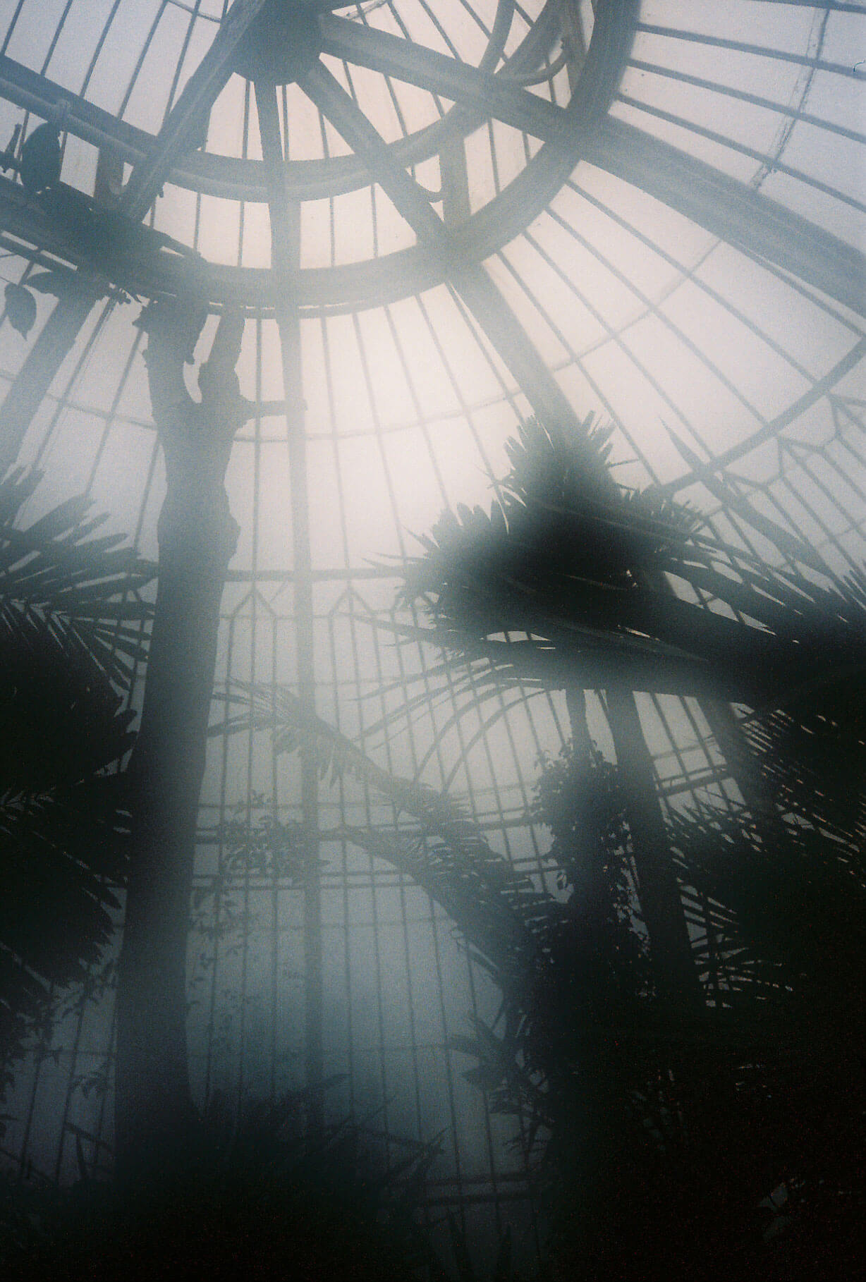 kewgardens_photo2