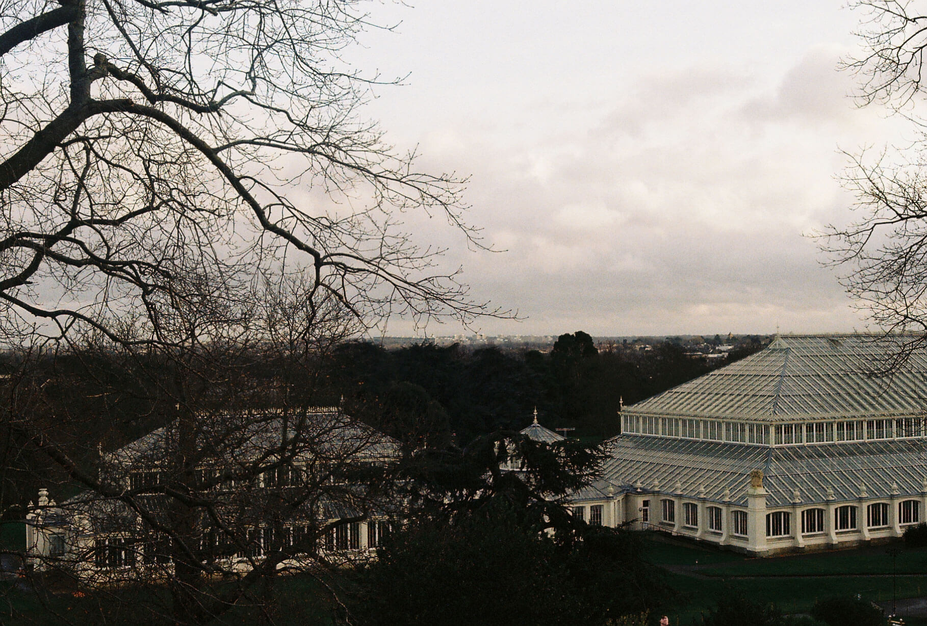 kewgardens_photo11