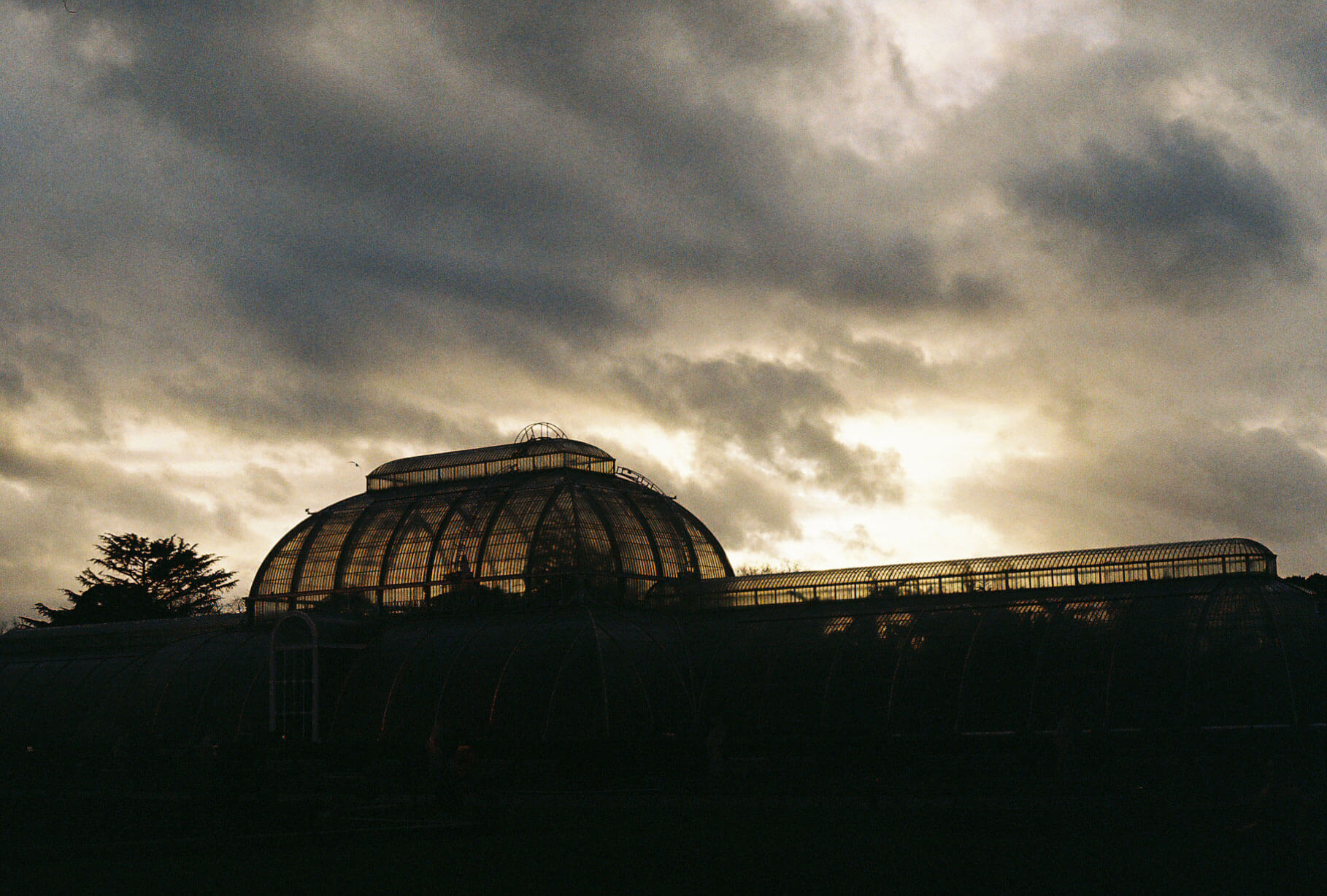 kewgardens_photo12