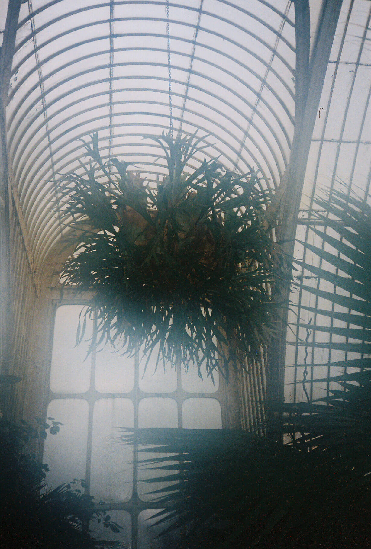 kewgardens_photo4