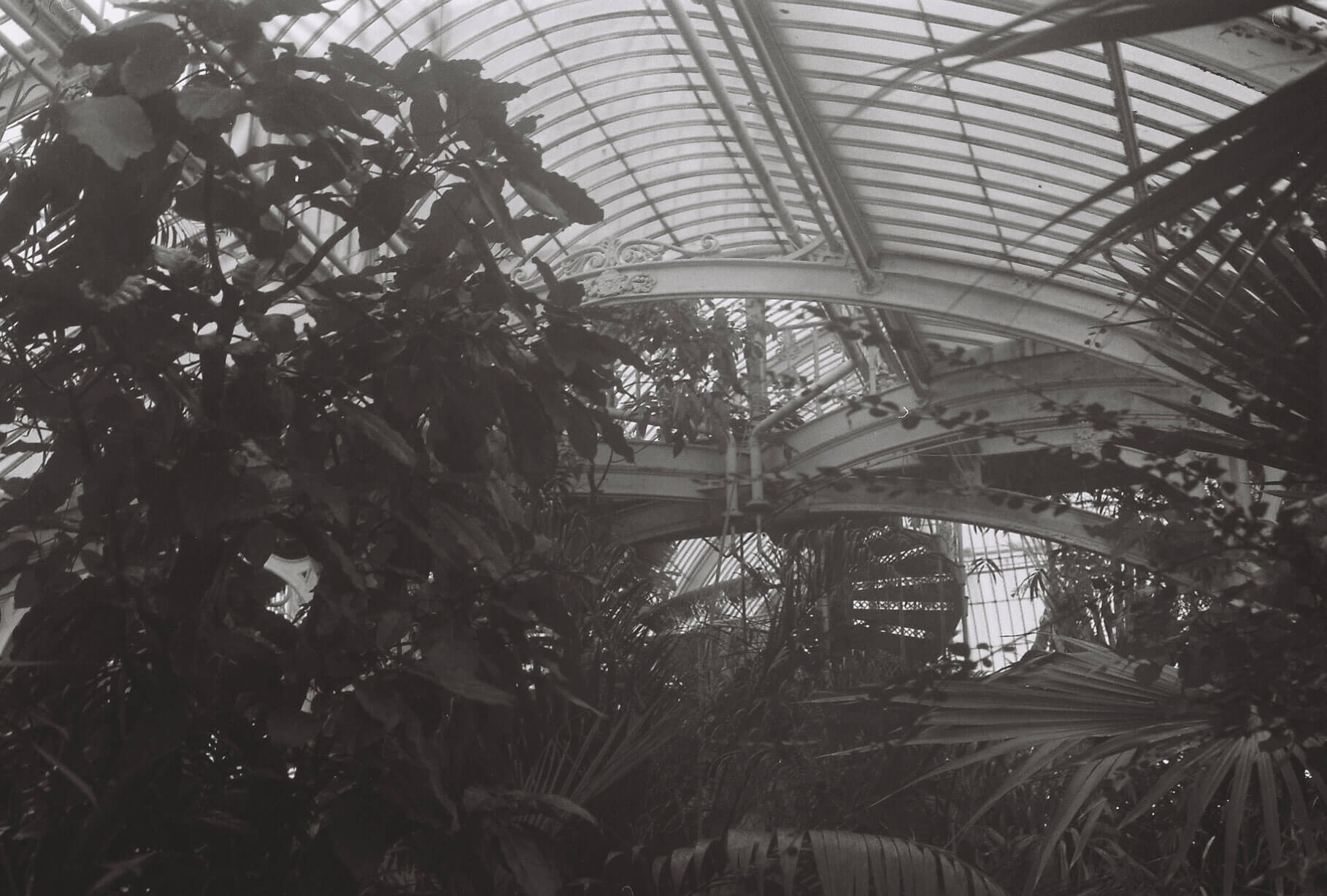 kewgardens_photo5