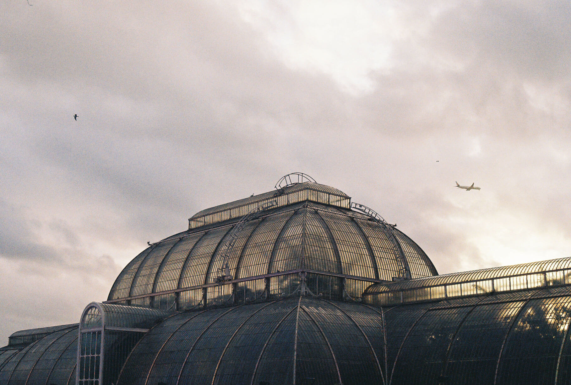 kewgardens_photo8