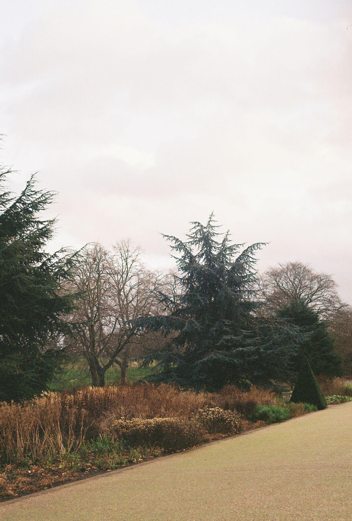 kewgardens_photo9